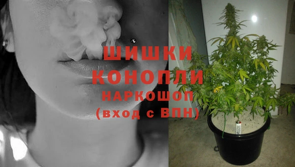 дурь Майский