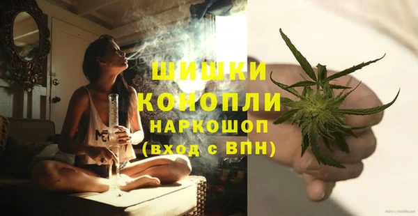 винт Мегион