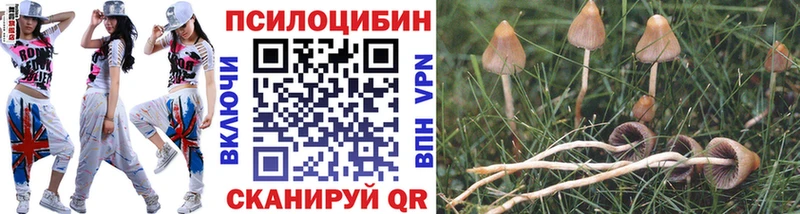 Псилоцибиновые грибы Magic Shrooms  Лангепас 